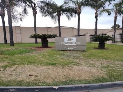 Lote para Venda, em Ribeiro Preto, bairro Recreio das Accias