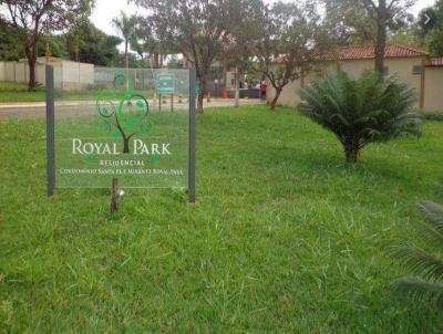 Lote para Venda, em Ribeiro Preto, bairro Royal Park