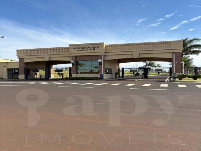 Lote para Venda, em Ribeir�o Preto, bairro Residencial Alto do Castelo 2